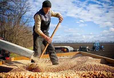 Губернатор Кубани Вениамин Кондратьев: «Обратимся к банкам с инициативой — кредитовать фермеров под залог собранного урожая»