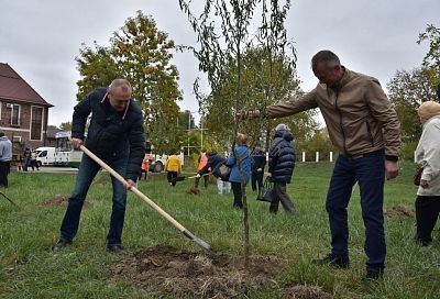 Больше 150 деревьев высадили в Славянске-на-Кубани в рамках акции «Подари дерево городу»