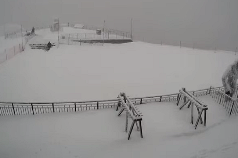 Завалило снегом: сугробы в горах под Сочи выросли до 118 сантиметров