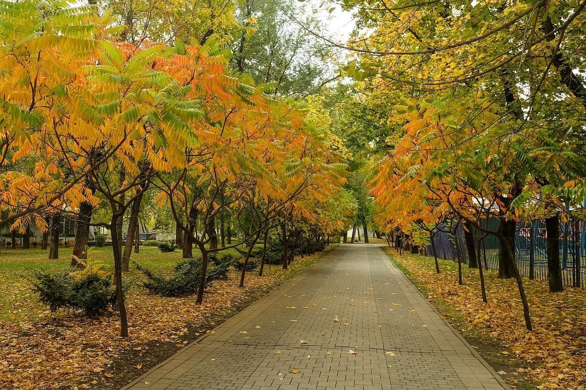 Антициклон прогреет воздух в Краснодарском крае