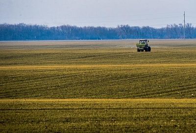 Биологизированное земледелие: что это такое и в чём его преимущества