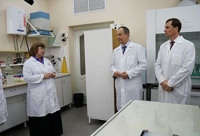 Более 580 млн рублей направят на развитие селекции и семеноводства в Краснодарском крае