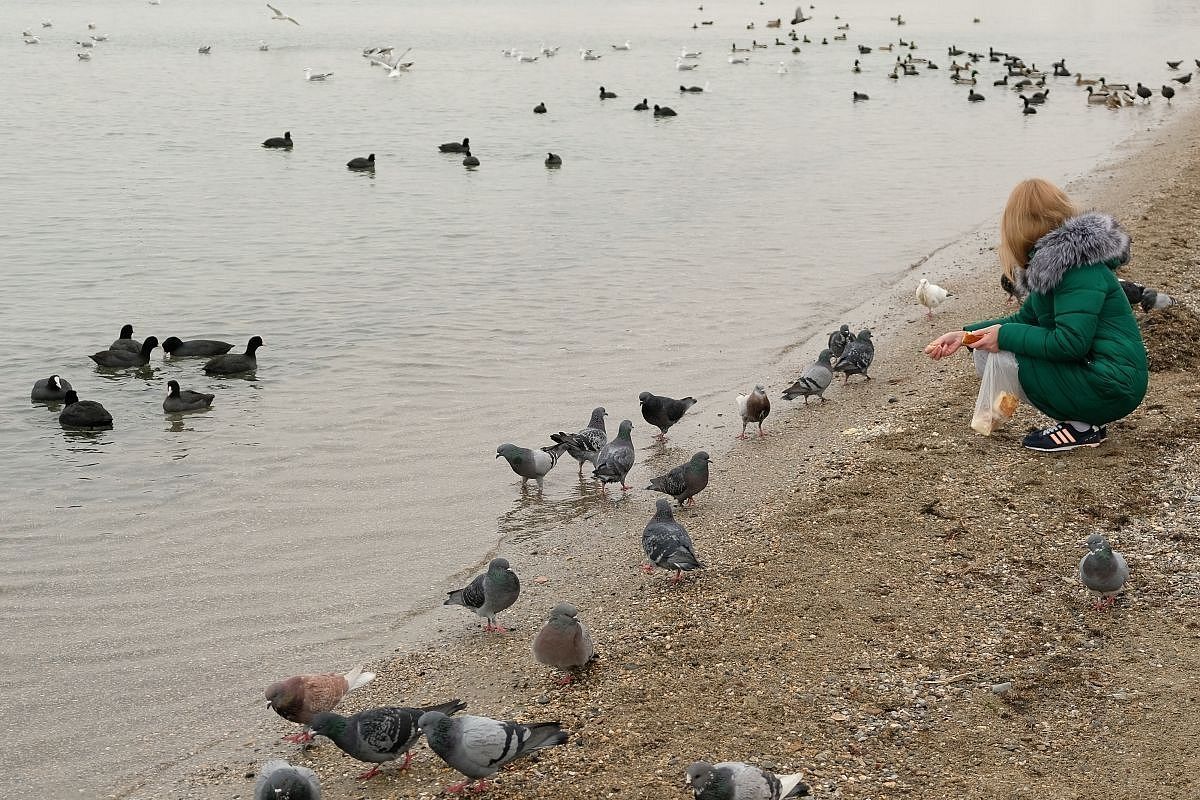 В Анапе 30 ноября обновился температурный рекорд