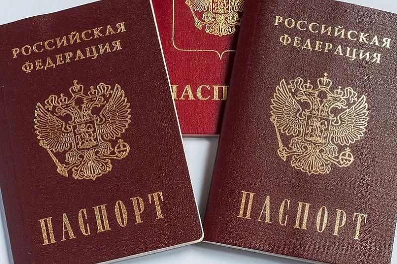 Медведев рассказал о сроках перехода на электронные паспорта в России 
