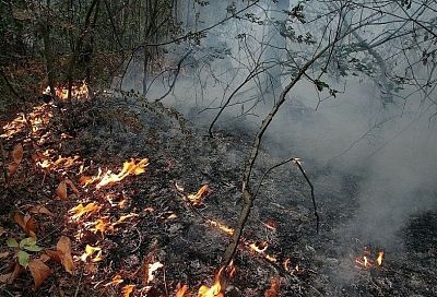 В России создали правительственную комиссию по ликвидации лесных пожаров