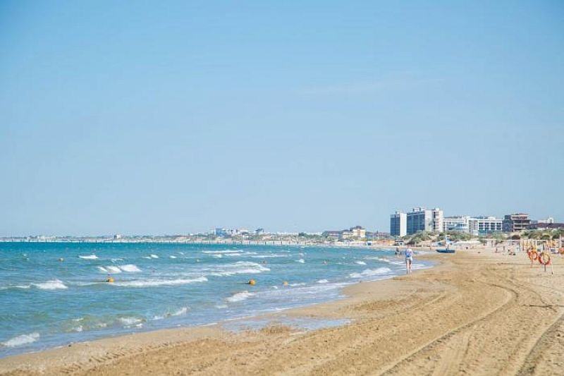 Ученые РАН исследуют проблему выброса камки на пляжи курорта