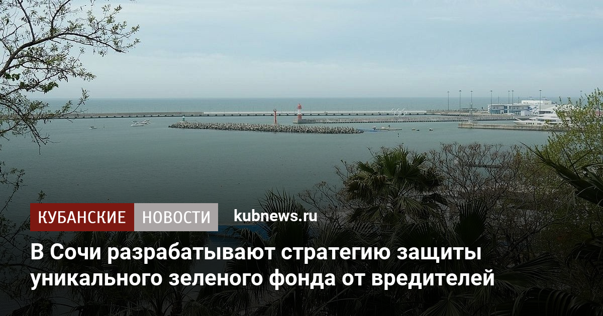 В Сочи разрабатывают стратегию защиты уникального зеленого фонда от вредителей