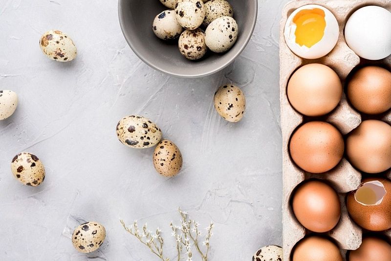 Найдите правильный конец: семь советов, прислушавшись к которым вы научитесь сохранять свежесть яиц на много дней
