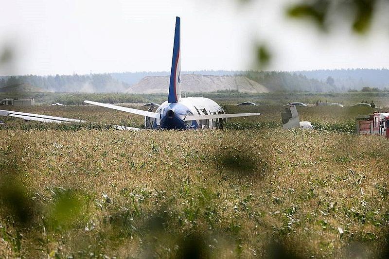 Число обратившихся за медпомощью после аварийной посадки самолета в Подмосковье выросло до 74