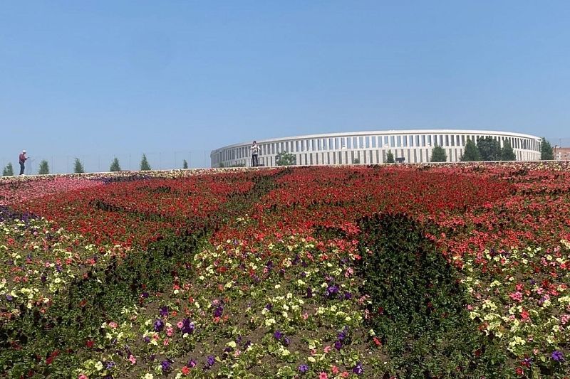 В парке «Краснодар» создали новую цветочную картину
