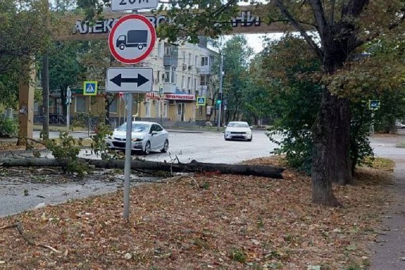 Ломает деревья и рвет провода: сильный ветер обрушился на Краснодарский край
