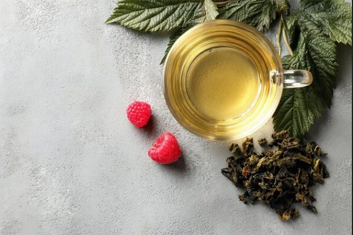 Не просто сушим: как превратить листья малины в ароматный чай с помощью ферментации