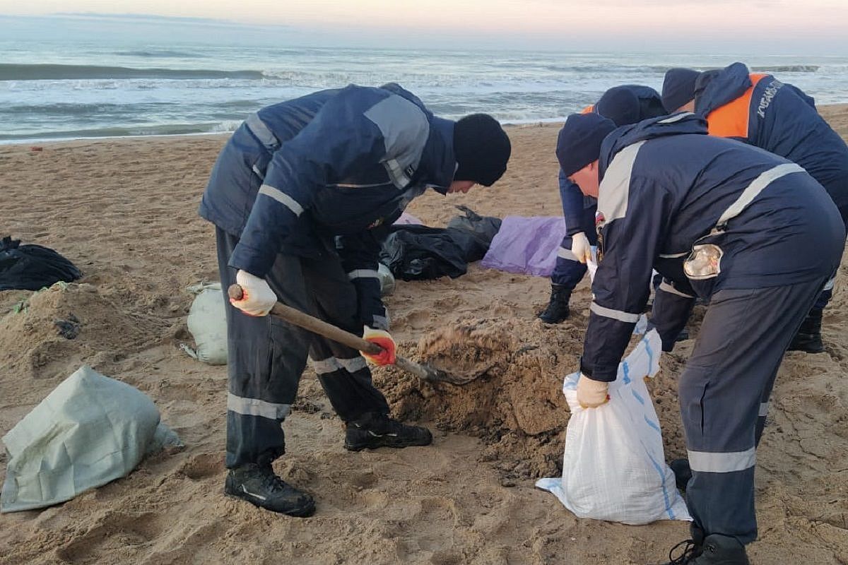 На уборке пляжей Анапы от мазута увеличили количество людей и техники