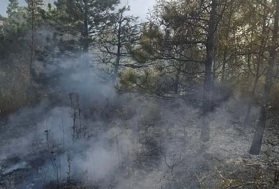 В Новороссийске потушили лесной пожар на площади 2 га