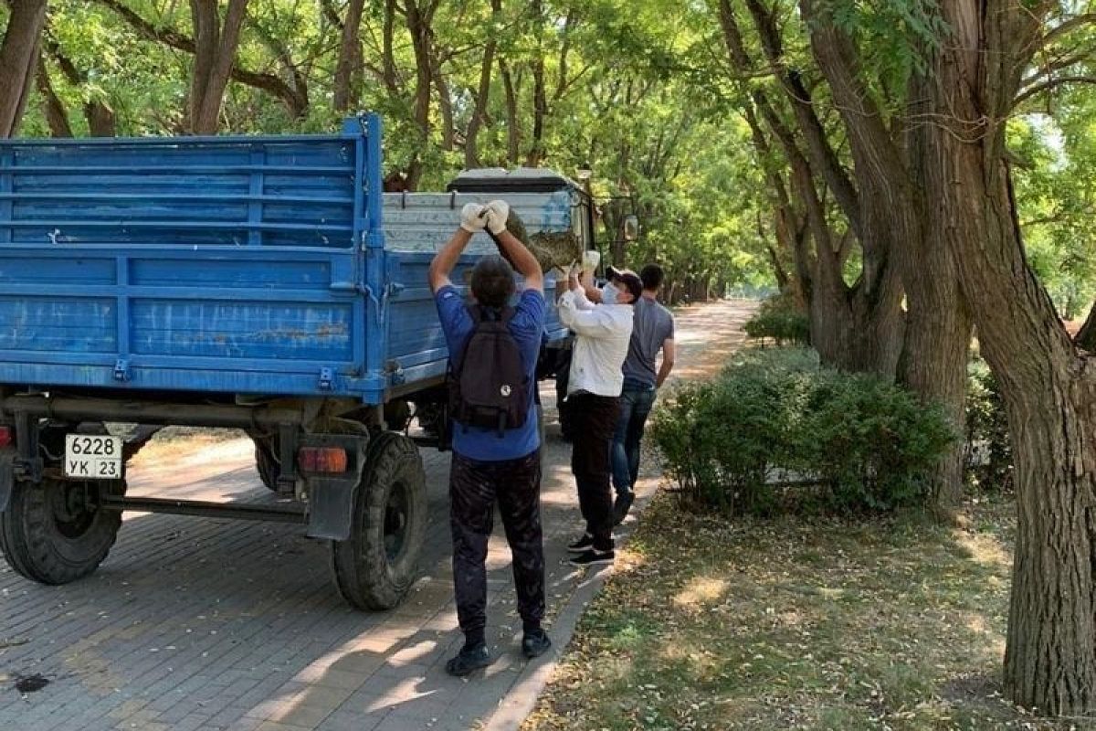 В Краснодаре стартовал марафон по наведению санитарного порядка и благоустройству