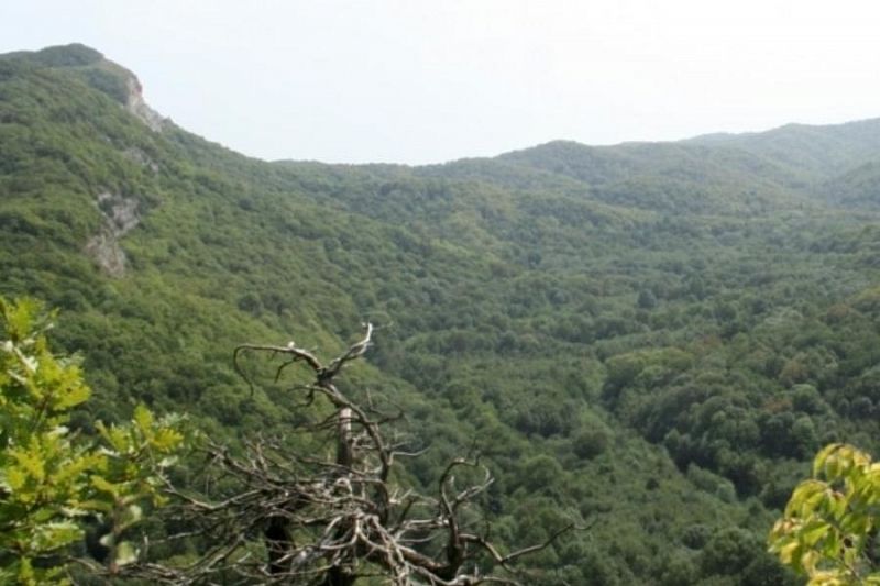 Площадь особо охраняемых природных территорий Краснодарского края увеличили на 2,5 тысячи гектаров