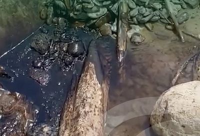 На пляже Новороссийска обнаружили нефтяные пятна