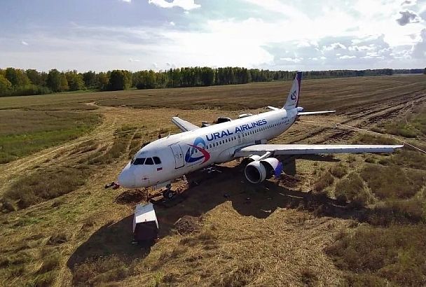 Севший в поле самолет рейса Сочи - Омск хотят оставить в качестве памятника