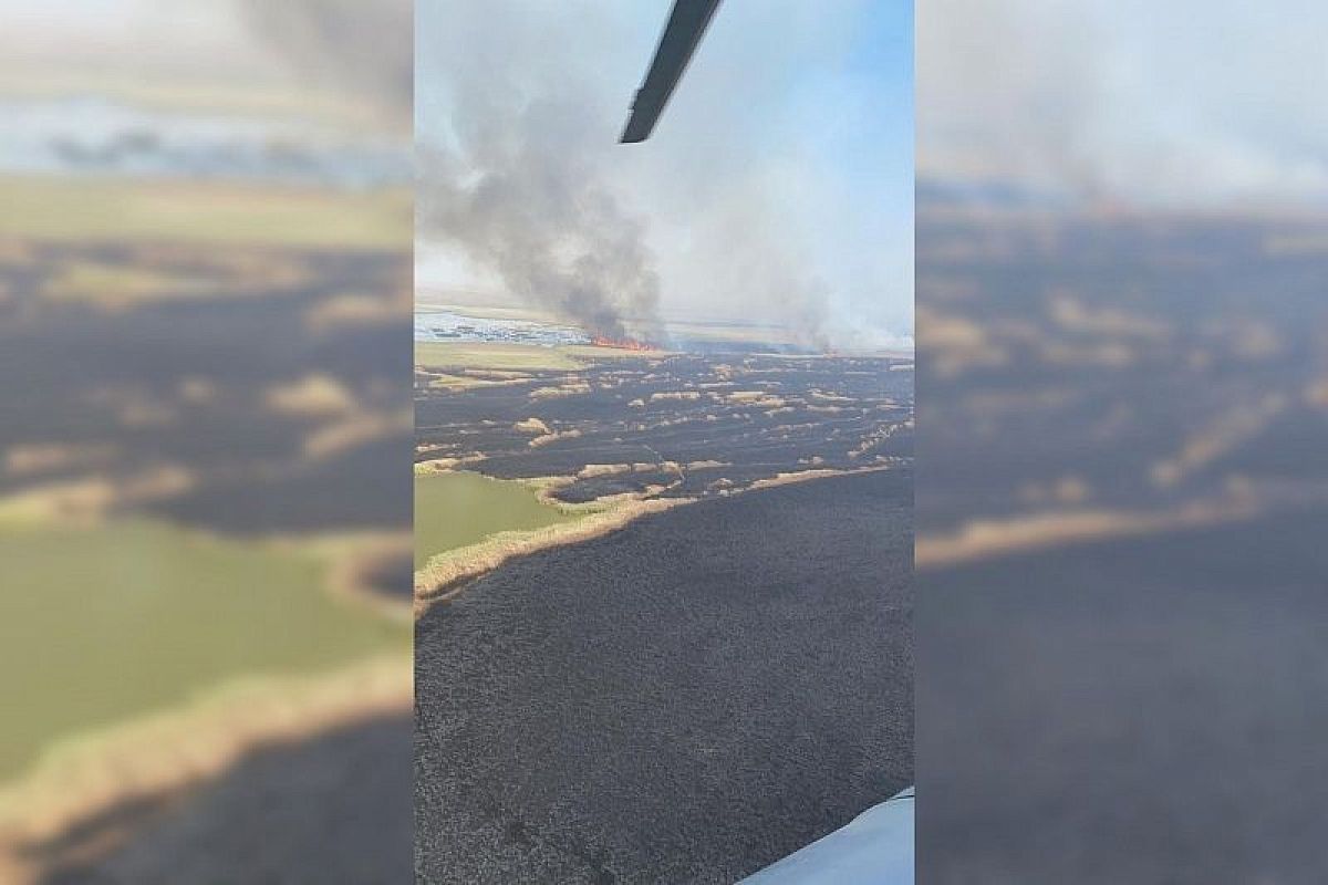 В Краснодарском крае ликвидировали два из пяти очагов возгорания камыша