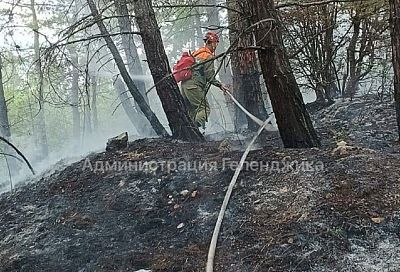 Неизвестный поджег лес в Геленджике 