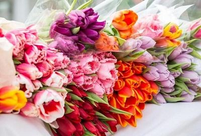 В преддверии 8 Марта в Краснодарском крае открылись почти 60 цветочных ярмарок