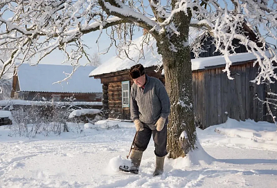 Втаптывание снега вокруг деревьев: польза или вред? Разбираем мифы и риски зимнего ухода за садом