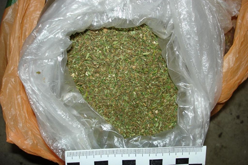 У жителя Краснодарского края дома нашли полкило марихуаны. Ему грозит до 10 лет тюрьмы