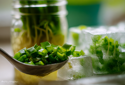 Зелёный лук свежий месяцами: шесть простых способов не выбрасывать