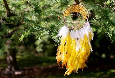 Таро проигрывают рунам, а полынь бьёт рекорды: неожиданные тренды на «магическом» рынке России в 2025 году