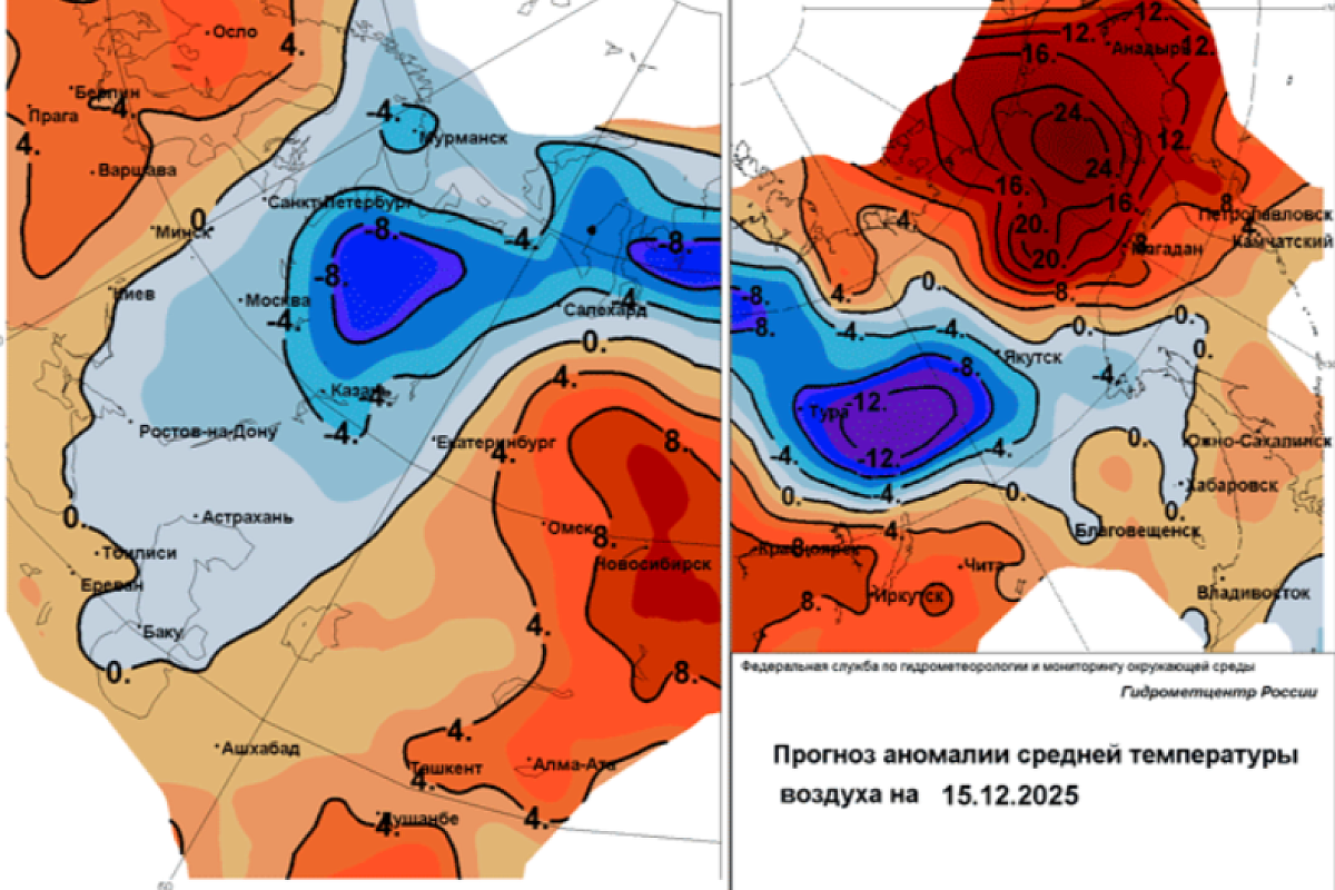 «Снежная королева» возвращается: Гидрометцентр прогнозирует мощный зимний всплеск в выходные