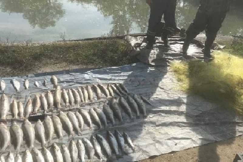 В Краснодарском крае задержаны браконьеры за рыбалку на 150 тысяч рублей
