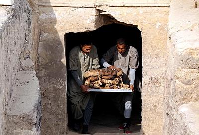 Археологи нашли в египетских гробницах сотни мумифицированных кошек