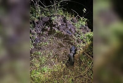 Житель Кубани убил знакомого бордюрным камнем и закопал его тело на кладбище