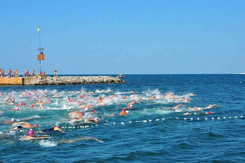 В Геленджике 10 августа состоится традиционный заплыв «Морская миля»