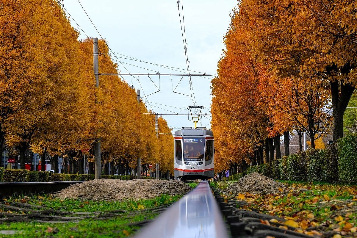 Температурные показатели на Кубани останутся в рамках климатической нормы