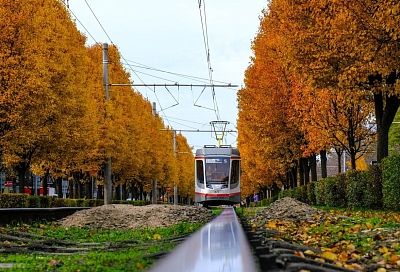 Температурные показатели на Кубани останутся в рамках климатической нормы