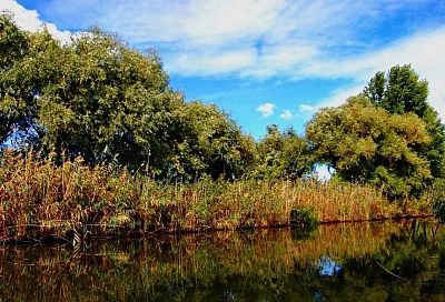  Две новые особо охраняемые природные территории регионального значения создали в Краснодарском крае