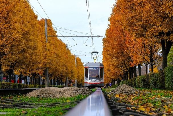 Температурные показатели на Кубани останутся в рамках климатической нормы