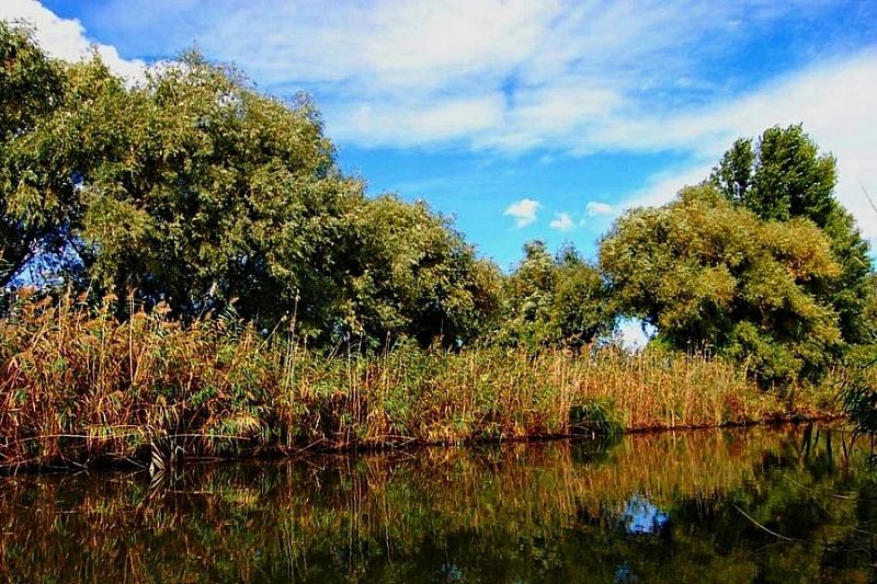  Две новые особо охраняемые природные территории регионального значения создали в Краснодарском крае