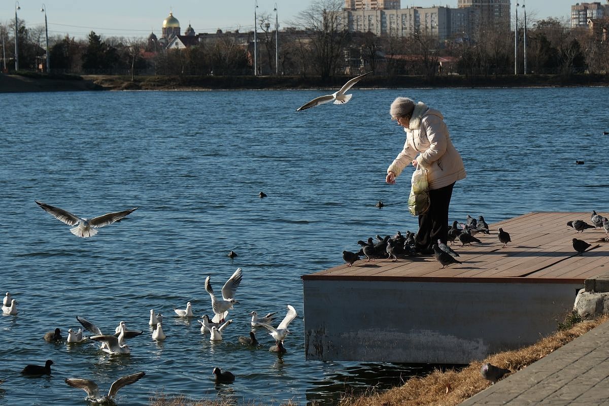 Синоптик Вильфанд рассказал, когда в Краснодарский край придет похолодание