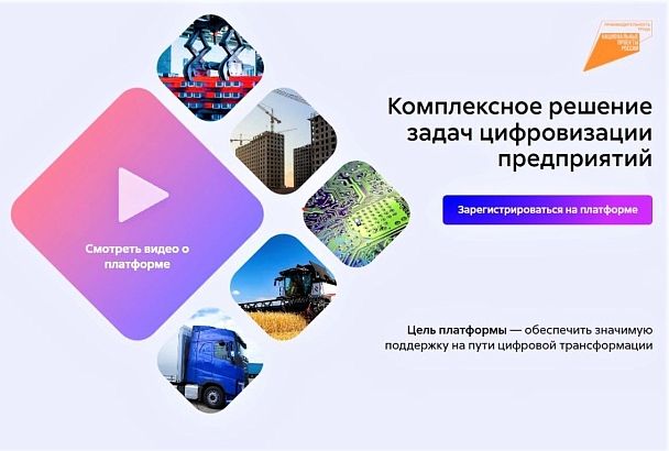 Участникам нацпроекта «Производительность труда» в Краснодарском крае доступно более 250 мер поддержки для цифровизации бизнеса