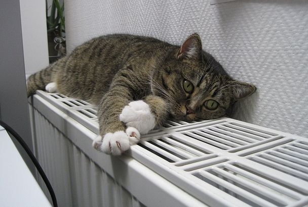 Более чем в 4 тысячах многоэтажек Краснодара включили отопление