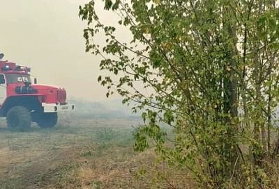  Почти 70 домов повреждены при лесном пожаре в Ростовской области
