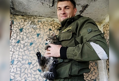 В Новопокровской спасателей вызвали на помощь котёнку