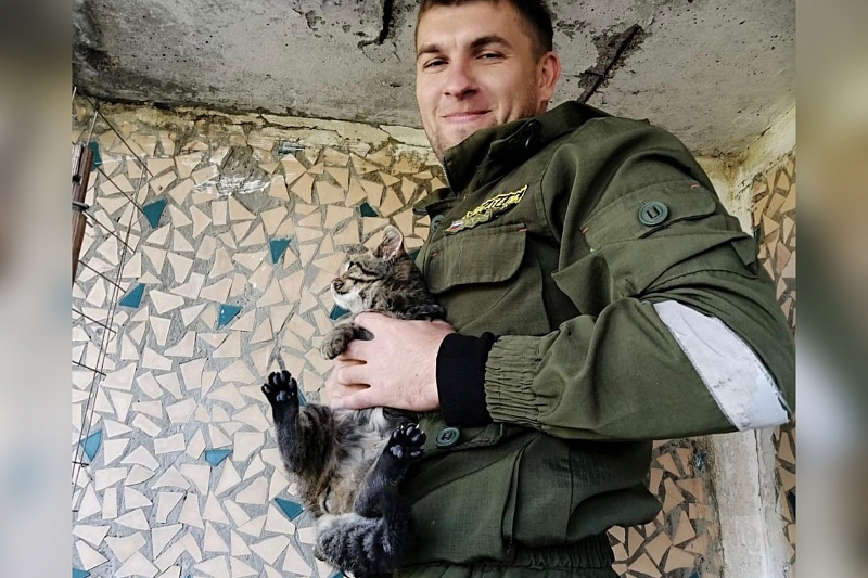 В Новопокровской спасателей вызвали на помощь котёнку