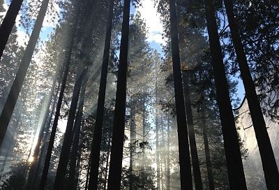 Народные приметы на сегодня – 2 марта, что можно и нельзя делать в Кириллов день по народному календарю
