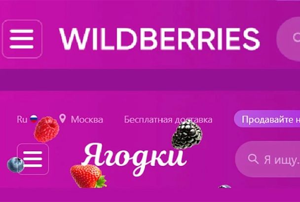 «Самим пригодится». Wildberries оставит за собой бренд «Ягодки»