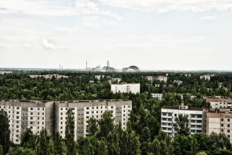 Как выживают животные в Чернобыле