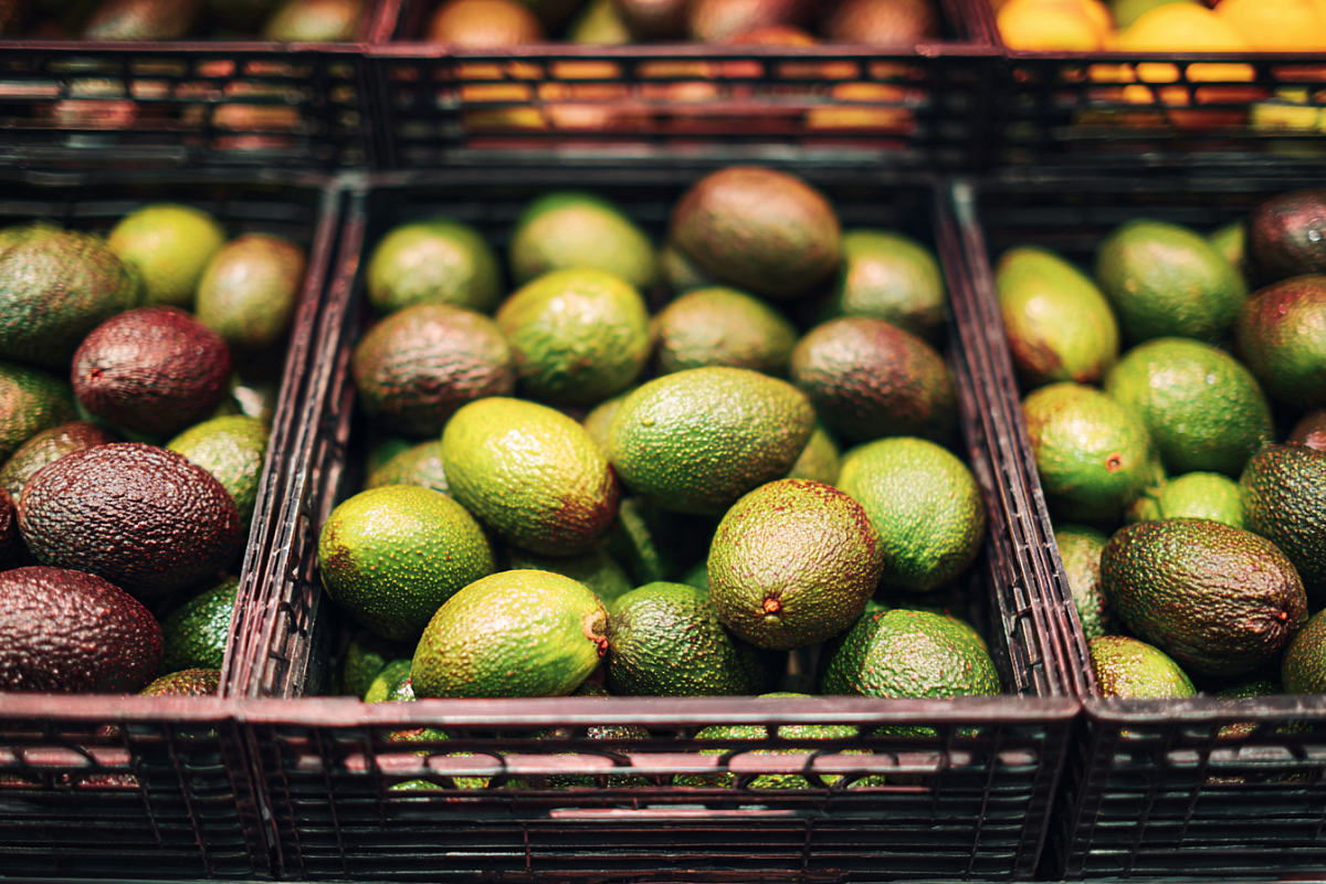 Авокадо и авокадовое масло: что скрывается за красивой этикеткой