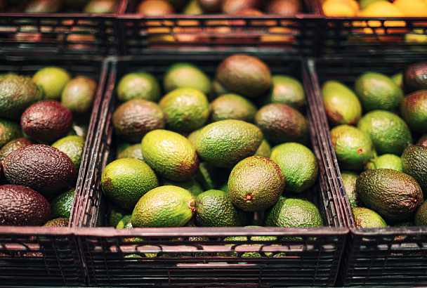 Авокадо и авокадовое масло: что скрывается за красивой этикеткой